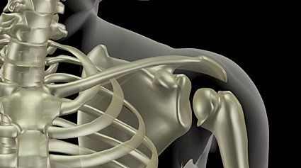 Cirugía de Hombro huesos que conforman el hombro Huesos que Conforman el Hombro Fractura de clavicula