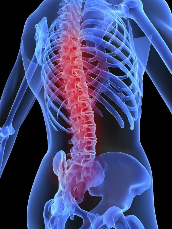 Huesos de la columna vertebral